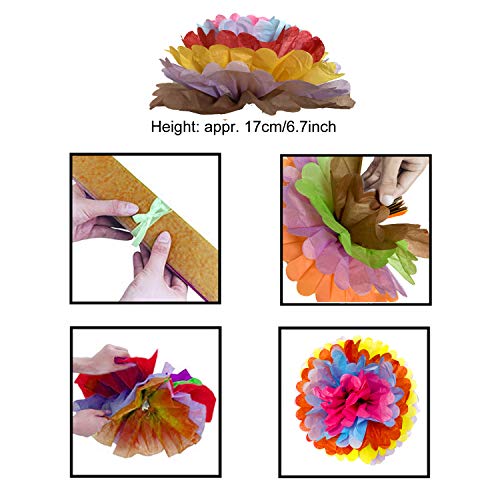 ZERODECO Cinco De Mayo Decorations, 18 Pcs Multicolor Fiesta Tissue Pom Paper Flowers 12 inch 14 inch for Mexican Carnival Rainbow Theme Party Supplies