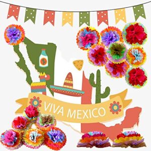 ZERODECO Cinco De Mayo Decorations, 18 Pcs Multicolor Fiesta Tissue Pom Paper Flowers 12 inch 14 inch for Mexican Carnival Rainbow Theme Party Supplies