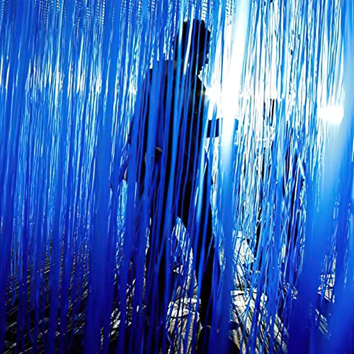 PartyWoo 2 pcs Royal Blue Foil Fringe Curtain, Metallic Foil Tinsel Fringe Backdrop Door Fringe for Birthday Wedding Party Photo Backdrop, Blue Streamers Party Decorations