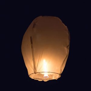 Sewroro 1 Set Chinese Paper Lanterns Oval Shaped Chinese Lanterns to Release in Biodegradable Floating Memorial Lanterns for Weddings Party Festivals Memorials and More with 3 Pens