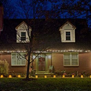 Set of 6 Brown Luminaries, Amber LED Tea Lights & Stakes