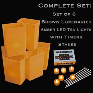 Set of 6 Brown Luminaries, Amber LED Tea Lights & Stakes