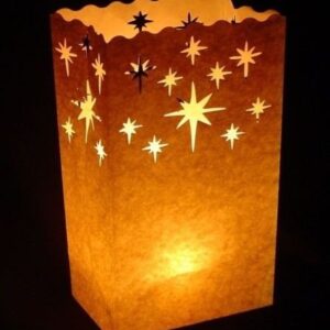 Since White Luminary Bags - 20 Count - Stars Design - Wedding, Reception, Party and Event Decor - Flame Resistant Paper - Luminaria (Stars)