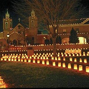 Since White Luminary Bags - 20 Count - Stars Design - Wedding, Reception, Party and Event Decor - Flame Resistant Paper - Luminaria (Stars)