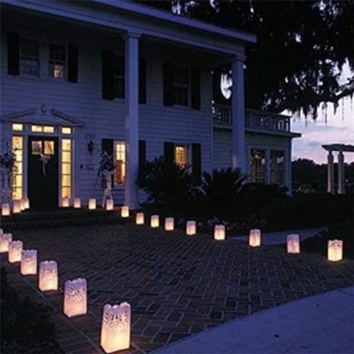 Since White Luminary Bags - 20 Count - Stars Design - Wedding, Reception, Party and Event Decor - Flame Resistant Paper - Luminaria (Stars)