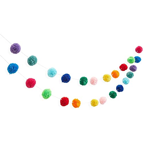 10 Feet Colorful Wool Pom Pom Garland for Rainbow Birthday Decorations (24 Balls)