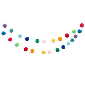 10 Feet Colorful Wool Pom Pom Garland for Rainbow Birthday Decorations (24 Balls)