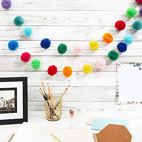 10 Feet Colorful Wool Pom Pom Garland for Rainbow Birthday Decorations (24 Balls)