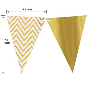 Aonor Sparkly Paper Pennant Banner Triangle Flags Bunting 8.2 Feet and Tissue Paper Tassels Garland 15 pcs for Baby Shower, Birthday Party Decorations, Metallic Gold