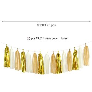 White Gold Champagne Party-Decorations Tassel-Garland -15pcs Christmas Wedding Engagement Tassels Banner Streamers Bachelorette Neutral Birthday Baby Bridal Shower Decor Panduola