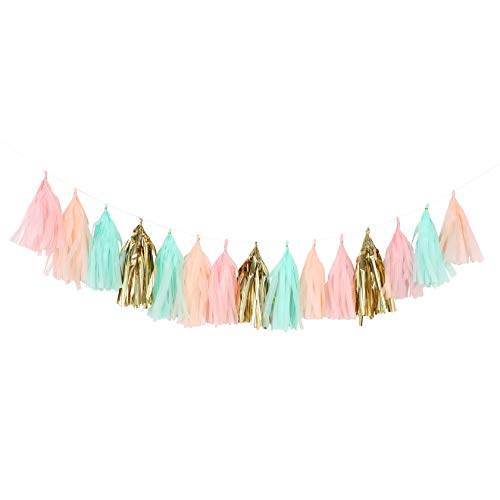 Fonder Mols Tissue Paper Tassels, Pastel Peach Pink Mint Green Tassel Garland, Baby Shower Decoration, First Birthday Party, Shabby Chic Wedding Photo Backdrop A28