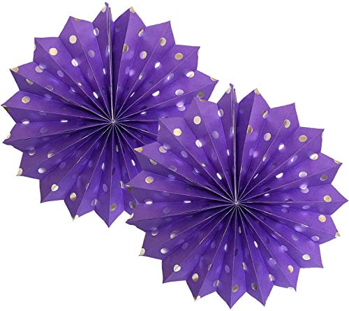 Purple Silver Birthday Decorations for Women Purple Silver Happy Birthday Balloons Latex Balloons Polka Dot Paper Fans/ Women's 30th/40th/50th/60th Birthday/Purple Birthday Decorations