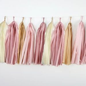 15 Pcs DIY Dusty Pink Tan Brown Nude Cream Tissue Paper Tassel Garland Party Streamer for Boho Rainbow Baby Shower Girls Birthday Bridal Shower Backdrop Nursery Garden Hanging Decoration