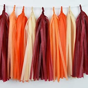 Fall Bridal Shower Decorations/Burgundy Fall Birthday Decorations Women/Burgundy Orange Champagne Party Decorations/Fall Wedding Decorations Maroon Burgundy Wedding/Thanksgving Party Decorations