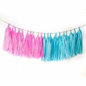 aimtohome tassel garland tissue paper tassel banner, tassels party decorations supplies for gender reveal party,wedding,birthday,bridal/baby shower,diy kits,pack of 20 – (pink and blue)