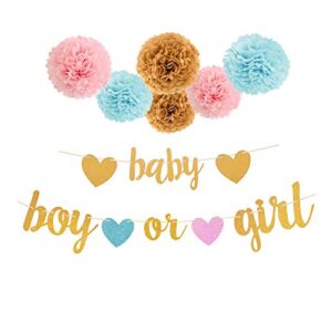 aonor gender reveal party decorations – glitter letters baby and boy or girl with hearts banner, tissue paper pom poms set for baby shower party decorations