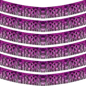 blukey 10 feet by 15 inch purple foil fringe garland – pack of 6 | shiny metallic tinsel banner | ideal for parade floats, bachelorette, wedding, birthday, christmas | wall hanging drapes