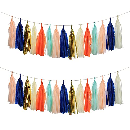 Tissue Paper Tassel DIY Party Garland Decor for All Events & Occasions ，30 Tassels Per Package