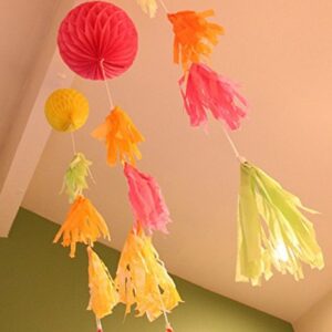 DIY Tissue Paper Tassels Party Decoration Supplies Sets 15 PCS Tassel Garland Banner for Birthday Party Bridal Shower Wedding Gold Garland Bunting Pom Pom (GM-Gold and Green)