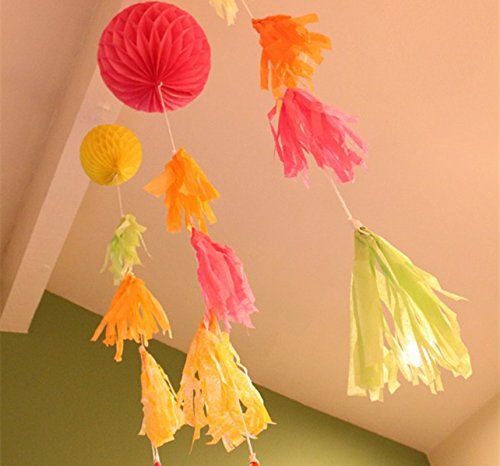 DIY Tissue Paper Tassels Party Decoration Supplies Sets 15 PCS Tassel Garland Banner for Birthday Party Bridal Shower Wedding Gold Garland Bunting Pom Pom (GM-Gold and Green)