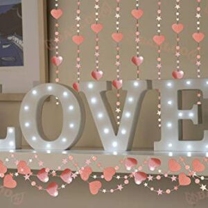 Rose Gold Party Decorations Backdrop Garland I Twinkle Star and Heart Hanging Banner for Bridal Shower Bachelorette Party Wedding Prom Favors