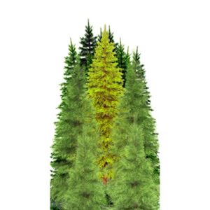 sp12622 tree group forest 80 inch cardboard cutout standee standup