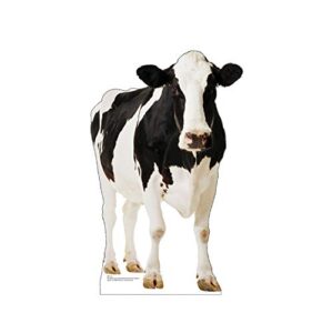 advanced graphics cow life size cardboard cutout standup