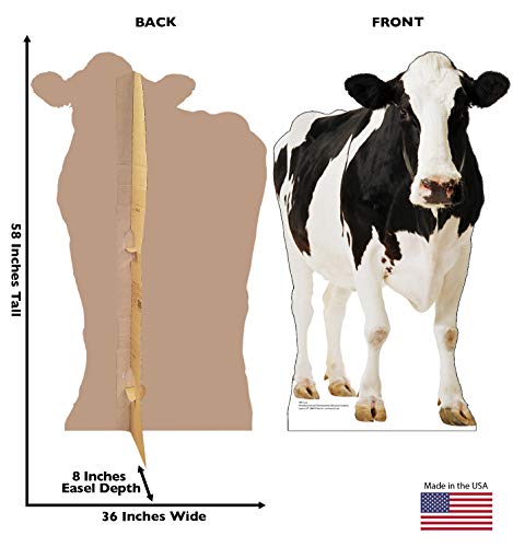 Advanced Graphics Cow Life Size Cardboard Cutout Standup