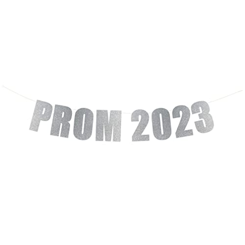 Prom 2023 Banner - Prom Night Party Decorations, High School Prom, Prom 2023, Home Prom Party Decor (Silver Glitter)