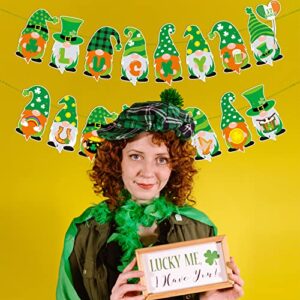 JKQ St. Patrick's Day Gnomes Banner Saint Patrick's Day Lucky Shamrock Beers Gold Coins Gnome Garland Banner Irish Lucky Day Gnome Decorations St. Patty's Day Wedding Birthday Party Supplies