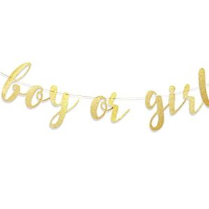 Boy or Girl Banner - Gender Reveal Decorations Banner, Boy or Girl Sign,baby Shower Banner for Boy/girl, Baby Girl Shower,oh Baby Banner,girl Baby Shower,it’s a Girl Banner