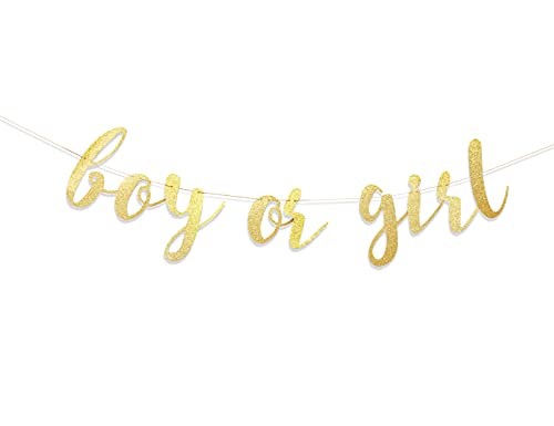 Boy or Girl Banner - Gender Reveal Decorations Banner, Boy or Girl Sign,baby Shower Banner for Boy/girl, Baby Girl Shower,oh Baby Banner,girl Baby Shower,it’s a Girl Banner