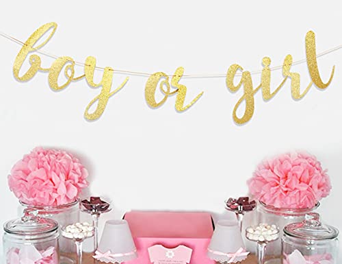 Boy or Girl Banner - Gender Reveal Decorations Banner, Boy or Girl Sign,baby Shower Banner for Boy/girl, Baby Girl Shower,oh Baby Banner,girl Baby Shower,it’s a Girl Banner