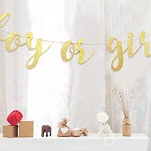 Boy or Girl Banner - Gender Reveal Decorations Banner, Boy or Girl Sign,baby Shower Banner for Boy/girl, Baby Girl Shower,oh Baby Banner,girl Baby Shower,it’s a Girl Banner