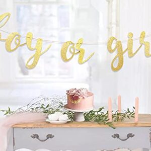 Boy or Girl Banner - Gender Reveal Decorations Banner, Boy or Girl Sign,baby Shower Banner for Boy/girl, Baby Girl Shower,oh Baby Banner,girl Baby Shower,it’s a Girl Banner