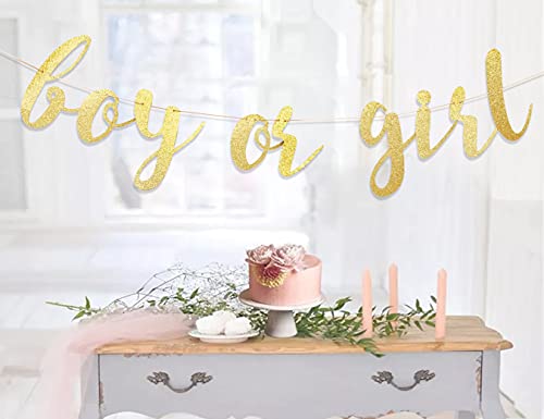 Boy or Girl Banner - Gender Reveal Decorations Banner, Boy or Girl Sign,baby Shower Banner for Boy/girl, Baby Girl Shower,oh Baby Banner,girl Baby Shower,it’s a Girl Banner