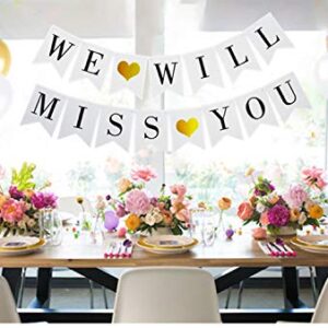 Mannli Elicola We Will Miss You Banner Balloons Bunting for Retirement Farewell Going Away Office Work Party Graduation Decorations