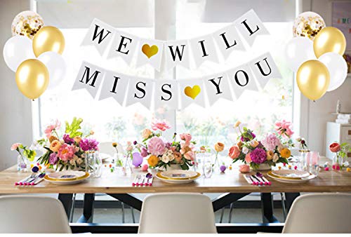 Mannli Elicola We Will Miss You Banner Balloons Bunting for Retirement Farewell Going Away Office Work Party Graduation Decorations