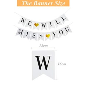 Mannli Elicola We Will Miss You Banner Balloons Bunting for Retirement Farewell Going Away Office Work Party Graduation Decorations