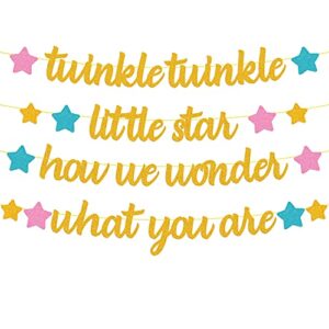 twinkle twinkle little star how we wonder what you are banner gender reveal decorations he or she pink blue gold star baby shower party supplies glitter décor pre-strung