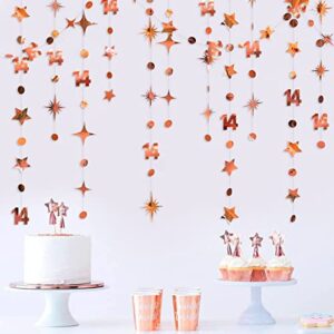 52ft rose gold 14th birthday decorations number 14 circle dot star garland metallic hanging streamer banner backdrop for girls happy 14 year old fabulous birthday fourteen anniversary party supplies