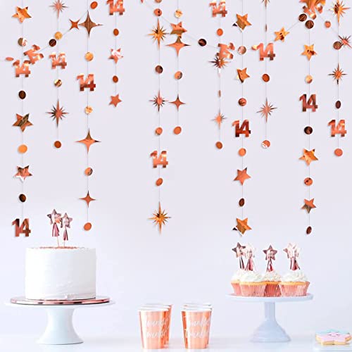 52Ft Rose Gold 14th Birthday Decorations Number 14 Circle Dot Star Garland Metallic Hanging Streamer Banner Backdrop for Girls Happy 14 Year Old Fabulous Birthday Fourteen Anniversary Party Supplies