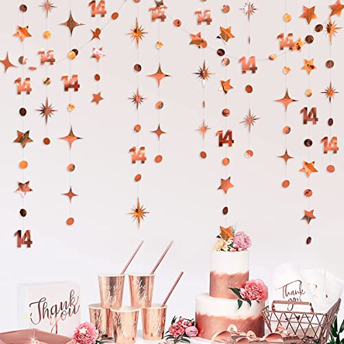 52Ft Rose Gold 14th Birthday Decorations Number 14 Circle Dot Star Garland Metallic Hanging Streamer Banner Backdrop for Girls Happy 14 Year Old Fabulous Birthday Fourteen Anniversary Party Supplies