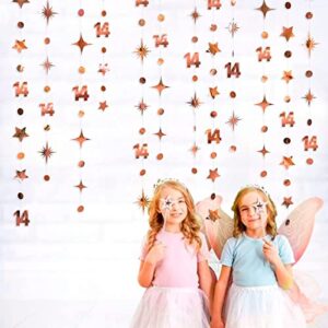 52Ft Rose Gold 14th Birthday Decorations Number 14 Circle Dot Star Garland Metallic Hanging Streamer Banner Backdrop for Girls Happy 14 Year Old Fabulous Birthday Fourteen Anniversary Party Supplies