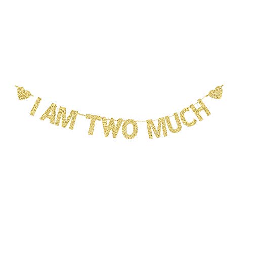 I AM Two Much Banner, Girls/Boys/Kids' 2nd Bday Sign, Gold Gliter Paper Garlands for 2 Years Old Birthday Party