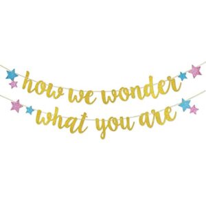 how we wonder what your are glitter banner pre-strung for twinkle twinkle little star gender reveal party decorations