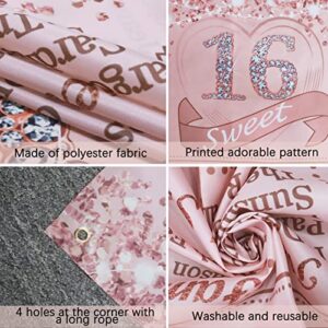 Vlipoeasn Sweet 16 Birthday Decorations for Girls, Rose Gold Glitter Back in 2007 Birthday Backdrop Banner, 70.86 x 43.3Inch Pink 16 Years Old Party Poster Supplies