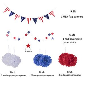 Whaline 14Pcs Patriotic Party Decorations Set, 4th of July American Flag Party Supplies Hanging Paper Fans, Paper Flower Balls, Star Streamers, USA Flag Pennant Bunting Party Favors
