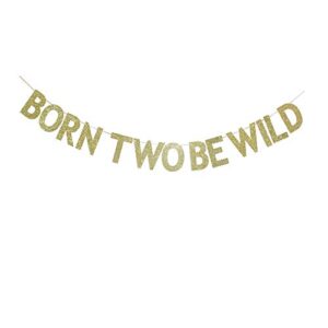 born two be wild banner, gold glitter paper sign for baby’s 2nd birthday party decors supplies