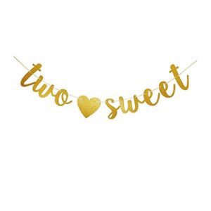 two sweet banner, gold glitter sign garlands for baby girl’s second birthday party decorations supplies